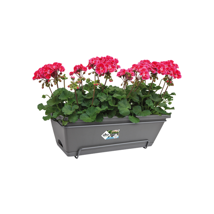 barcelona allin1 50cm antraciet